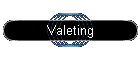 Valeting