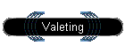 Valeting